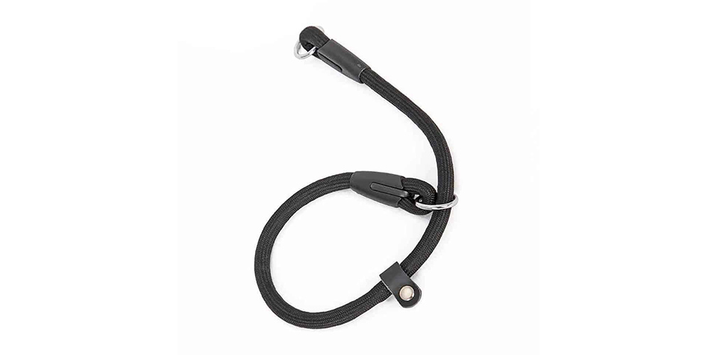 How To Get Your Dog Used To Their Bandanas